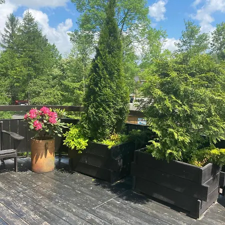 Rodzinny Centrum Lägenhet Zakopane